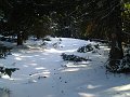 2014-04-17 17.46.48